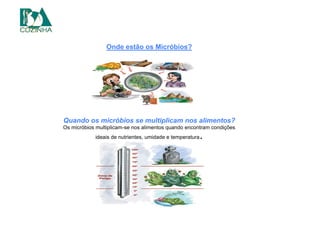Onde estão os Micróbios?
Quando os micróbios se multiplicam nos alimentos?
Os micróbios multiplicam-se nos alimentos quando encontram condições
ideais de nutrientes, umidade e temperatura.
 