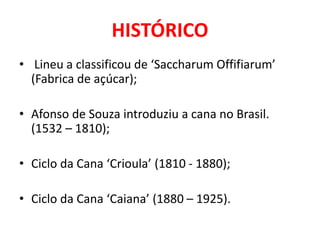 HISTÓRICO
• Lineu a classificou de ‘Saccharum Offifiarum’
(Fabrica de açúcar);
• Afonso de Souza introduziu a cana no Brasil.
(1532 – 1810);
• Ciclo da Cana ‘Crioula’ (1810 - 1880);
• Ciclo da Cana ‘Caiana’ (1880 – 1925).
 