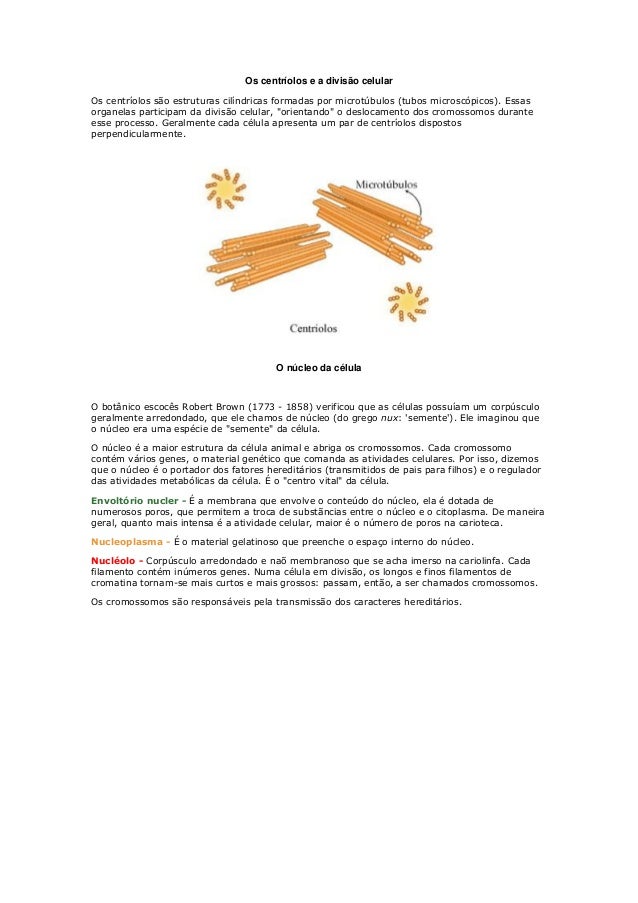 A membrana plasmatica apresenta uma propriedade tipica