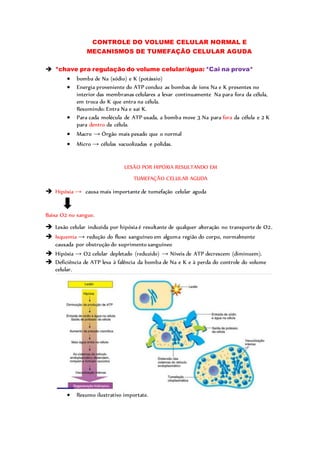 CONTROLE DO VOLUME CELULAR NORMAL E
MECANISMOS DE TUMEFAÇÃO CELULAR AGUDA
 *chave pra regulação do volume celular/água: *Cai na prova*
 bomba de Na (sódio) e K (potássio)
 Energia proveniente do ATP conduz as bombas de íons Na e K presentes no
interior das membranas celulares a levar continuamente Na para fora da célula,
em troca do K que entra na célula.
Resumindo: Entra Na e sai K.
 Para cada molécula de ATP usada, a bomba move 3 Na para fora da célula e 2 K
para dentro da célula.
 Macro → Órgão mais pesado que o normal
 Micro → células vacuolizadas e polidas.
LESÃO POR HIPÓXIA RESULTANDO EM
TUMEFAÇÃO CELULAR AGUDA
 Hipóxia → causa mais importante de tumefação celular aguda
Baixa O2 no sangue.
 Lesão celular induzida por hipóxia é resultante de qualquer alteração no transporte de O2.
 Isquemia → redução do fluxo sanguíneo em alguma região do corpo, normalmente
causada por obstrução do suprimento sanguíneo
 Hipóxia → O2 celular depletado (reduzido) → Níveis de ATP decrescem (diminuem).
 Deficiência de ATP leva à falência da bomba de Na e K e à perda do controle do volume
celular.
 Resumo ilustrativo importate.
 
