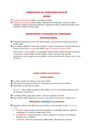 MORFOLOGIA DA TUMEFAÇÃO CELULAR
AGUDA
 Aparência macroscópica: Palidez e tumefação do órgão
 Aparência microscópica: Células pálidas e delicadamente vacuolizadas. Ocorre em células
endoteliais, epiteliais, pneumócitos alveolares, hepatócitos, células epiteliais dos túbulos renais,
neurônios e células cerebrais da glia.
IMPORTÂNCIA E EVOLUÇÃO DA TUMEFAÇÃO
CELULAR AGUDA
 Prognóstico depende do número de células afetadas e da importância imediata da perda de
função celular.
 Se o oxigênio adequado é restaurado às células e a lesão na membrana é reparada antes que se
atinja um certo ponto, a maioria das células pode ser restaurada à função normal.
Resumindo: Tumefação celular é a manifestação da lesão celular subletal reversível. Entretanto,
a menos que a causa da lesão em tipos celulares muito importantes seja removida
rapidamente, a lesão progressiva nessas células e tecidos essenciais pode culminar com a morte
do animal.
Lesão celular irreversível e
morte celular
 Se a lesão excede certos limites, ocorre morte celular.
 Pode acontecer de diversas formas. Ex.: Temperaturas extremas ou trauma direto.
 Classificada em dois tipos principais:
Necrose → Morte celular causada por lesão celular irreversível por hipóxia, isquemia e lesão
de membrana. (animal vivo)
 Tumefação celular aguda pode resultar e necrose ou pode ser reversível.
 Não está claro onde exatamente é o ponto em que não há mais retorno / Atuação do Ca.
Alterações histológicas na necrose:
 Alterações nucleares das células mortas são variáveis e descritas pelos termos: *vai cair na
prova*
 PICNOSE: núcleo retraído, escurecido, homogêneo e arredondado; pode ser sequela da
condensação da cromatina na degeneração inicial
 CARIORREXIA: membrana nuclear se rompe e fragmentos nucleares escurecidos são
liberados para o citoplasma
 CARIÓLISE: núcleo fica extremamente pálido devido à dissolução da cromatina
 