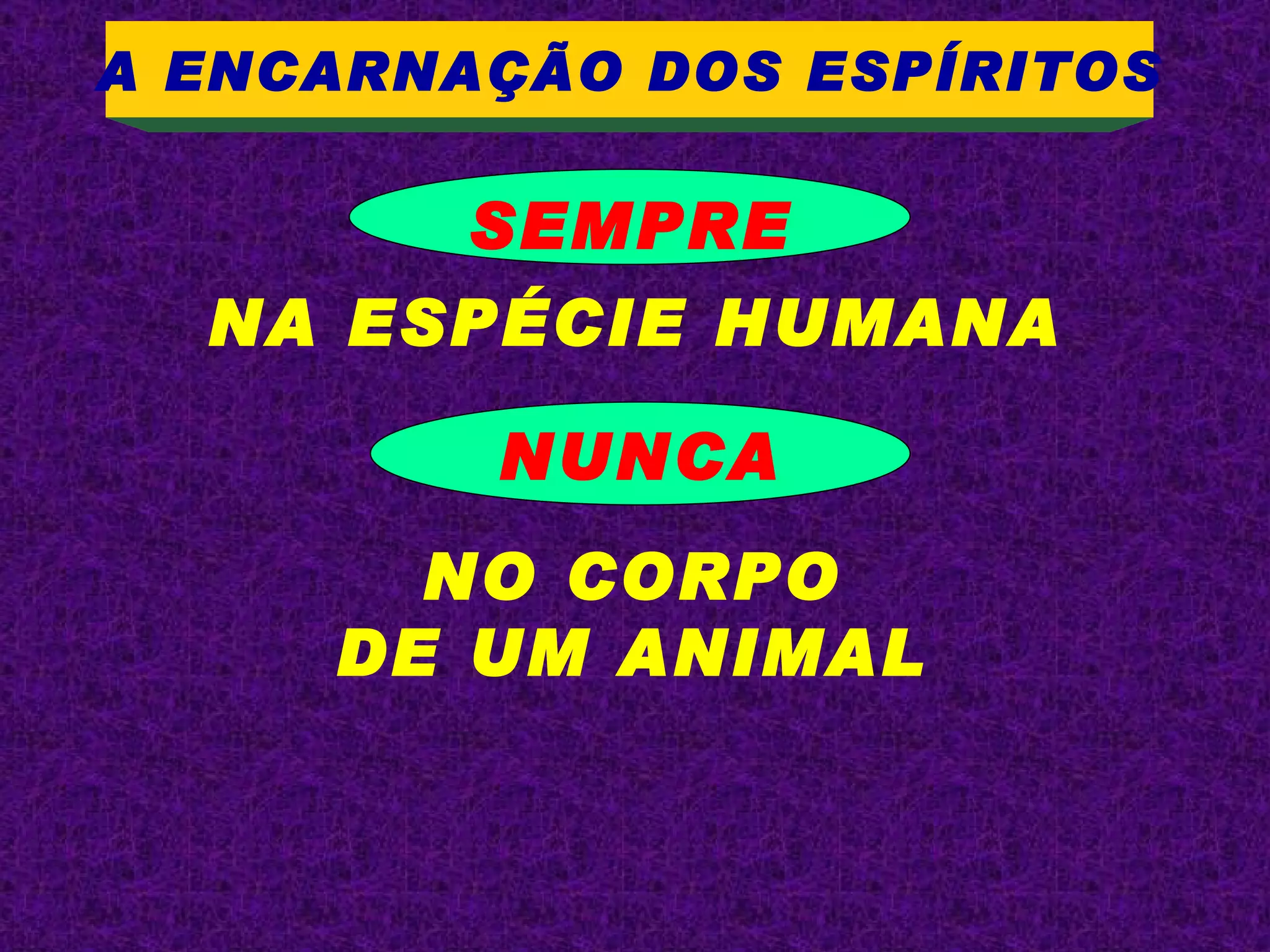 SEMPRE NA ESPÉCIE HUMANA NUNCA NO CORPO DE UM ANIMAL A ENCARNAÇÃO DOS ESPÍRITOS 