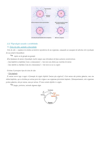 2.2 Reprodução sexuada e variabilidade:
 3. Ciclos de vida: unidade e diversidade
 Ciclo de vida – sequência de estados na história reprodutiva de um organismo, começando na concepção do indivíduo até à produção
da sua própria descendência
            repete-se de geração em geração
 Dos fenómenos de meiose e fecundação resulta sempre uma alternância de fases nucleares características:
 - fase haplóide ou haplofase (com n cromossomas) – tem inicio nas células que resultam da meiose
 - fase diplóide ou diplofase (com 2n cromossomas) – tem início no ovo ou zigoto

  Existem 3 principais tipos de ciclos de vida:
  - Ciclo haplonte:
  A meiose ocorre logo a seguir à formação do zigoto diplóide (meiose pós-zigotica). Esta meiose não produz gâmetas, mas sim
células haplóides, que se dividem por mitose para dar origem a um organismo pluricelular haplonte. Subsequentemente, este organismo
produz gâmetas, não por meiose, mas por mitose. O único estado diplóide é o zigoto.
            fungos, protistas, incluindo algumas algas
 