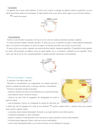 - Ciclo diplonte:
  Os gâmetas são as únicas células haplóides. A meiose ocorre durante a produção dos gâmetas (meiose pré-gamética), que não
sofrem mais divisões celulares até à fecundação. O zigoto diplóide divide-se por mitose, dando origem a um ser pluricelular diplonte.
             maioria dos animais




  - Ciclo haplodiplonte:
  Verifica-se uma alternância de gerações. Este tipo de ciclo de vida inclui estádios multicelulares diplóides e haplóides.
  O estado multicelular diplóide é chamado esporófito. A meiose que ocorre no esporófito dá origem a células haplóides denominadas
esporos. Ao contrário de um gâmeta, um esporo dá origem a um indivíduo pluricelular sem se fundir com outra célula.
  O esporo divide-se por mitose, originando um estado multicelular haplóide, denominado gametófito. O gametófito produz gamêtas
por mitose. Da fecundação dos gâmetas resulta um zigoto diplóide, que se irá desenvolver, formando um novo esporófito. Assim
sendo, neste tipo de ciclo de vida, a geração gametófita e a geração esporófita reproduzem-se alternadamente.




      Ciclo de vida haplonte – espirogira
  A espirogira é uma alga de agua doce.
  Reproduz-se assexuadamente, por fragmentação, em condições favoráveis e,
quando as condições são desfavoráveis, a espirogira reproduz-se sexuadamente.
  Processo de reprodução sexuada da espirogira:
  - formam-se saliências nas células de dois filamentos que se encontram próximos;
  - essas saliências crescem e entram em contacto;
  - forma-se um canal (tubo de conjugação), por desagregação da parede no
ponto de contacto;
  - num dos filamentos, observa-se a condensação do conteúdo de cada célula, que
se desloca pelo tubo de conjugação até à célula do outro filamento constitui o gâmeta dador; o conteúdo celular que se mantém
imóvel constitui o gâmeta receptor;
  - os conteúdos celulares fundem (fecundação), formando-se um zigoto diplóide em cada célula receptora;
  - os filamentos desagregam-se, após a fecundação;
  - quando as condições se tornam favoráveis ocorre uma meiose no zigoto, formando-se quatro núcleos haplóides;
  - três destes núcleos degeneram, ficando a célula com um único núcleo haplóide;
  - a partir desta célula haplóide forma-se, por mitoses sucessivas, um novo filamento de espirogira.
 