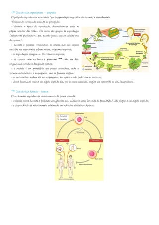 Ciclo de vida haplodiplonte – polipódio
  O polipódio reproduz-se assexuada (por fragmentação vegetativa do rizoma) e sexuadamente.
  Processo de reprodução sexuada do poliopódio:
  - durante a época de reprodução, desenvolvem-se soros na
página inferior das folhas. Os soros são grupos de esporângios
(estruturas pluricelulares que, quando jovens, contêm células-mãe
de esporos);
  - durante o processo reprodutivo, as células-mãe dos esporos
contidas nos esporângios sofrem meiose, originando esporos;
  - os esporângios rompem-se, libertando os esporos;
  - os esporos caem na terra e germinam             cada um deles
origina uma estrutura designada protalo;
  - o protalo é um gametófito que possui anterídeos, onde se
formam anterozóides, e arquegónios, onde se formam oosferas;
  - os anterozóides nadam até aos arquegónios, nos quais se vão fundir com as oosferas;
  - desta fecundação resulta um zigoto diplóide que, por mitoses sucessivas, origina um esporófito de vida independente.

     Ciclo de vida diplonte – homem
 O ser humano reproduz-se exclusivamente de forma sexuada.
 - a meiose ocorre durante a formação dos gâmetas que, quando se unem (através da fecundação), dão origem a um zigoto diplóide;
 - o zigoto divide-se mitoticamente originando um indivíduo pluricelular diplonte.
 