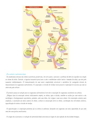Da unidade à multicelularidade
  As membranas internas das células eucarióticas permitiram, até certo ponto, contornar o problema da falta de superfície em relação
ao volume da célula. Contudo, a logística necessária para levar a cabo o metabolismo celular limita o tamanho da célula, que não pode
aumentar indefinidamente. O desenvolvimento de uma maior complexidade estrutural e metabólica foi conseguida através do
desenvolvimento de organismos multicelulares. A cooperação e a divisão de tarefas torna possível a exploração de recursos que uma só
célula não pode utilizar .

  O primeiro passo na evolução para os organismos multicelulares terá sido a associação de organismos unicelulares em colónias.
  Nalguns tipos de associação colonial relativamente simples, as células, após a divisão, mantêm-se unidas por uma matriz e são
morfológica e fisiologicamente equivalentes, podendo, cada uma delas, dar origem a uma nova colónia. Em associações coloniais mais
complexas, e envolvendo um maior número de células, verifica-se comunicação entre as células, coordenação das actividades celulares,
especialização de células e divisão de tarefas.

 A especialização e a cooperação permitem que as células se combinem, formando um organismo com mais capacidades do que cada
uma das suas partes constituintes.

 A origem dos eucariontes e a evolução da multicelularidade estiveram na origem de uma explosão da diversidade biológica.
 