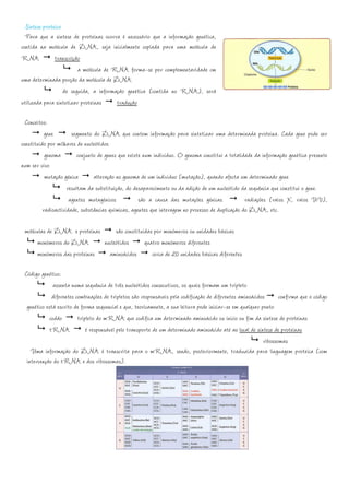 Síntese proteica
  Para que a síntese de proteínas ocorra é necessário que a informação genética,
contida na molécula de DNA, seja inicialmente copiada para uma molécula de
RNA            transcrição
                         a molécula de RNA forma-se por complementaridade cm
uma determinada porção da molécula de DNA
                   de seguida, a informação genética (contida no RNA), será
utilizada para sintetizar proteínas     tradução

  Conceitos:
           gene        segmento do DNA que contem informação para sintetizar uma determinada proteína. Cada gene pode ser
constituído por milhares de nucleótidos
           genoma         conjunto de genes que existe num indivíduo. O genoma constitui a totalidade da informação genética presente
num ser vivo
           mutação génica        alteração no genoma de um indivíduo (mutação), quando afecta um determinado gene
                     resultam da substituição, do desaparecimento ou da adição de um nucleótido da sequência que constitui o gene.
                      agentes mutagénicos            são a causa das mutações génicas             radiações (raios X, raios UV),
          radioactividade, substâncias químicas, agentes que interagem no processo de duplicação do DNA, etc.

 moléculas de DNA e proteínas      são constituídas por monómeros ou unidades básicas
      monómeros do DNA        nucleótidos       quatro monómeros diferentes
      monómeros das proteínas   aminoácidos        cerca de 20 unidades básicas diferentes

 Código genético:
               assenta numa sequência de três nucleótidos consecutivos, os quais formam um tripleto
              diferentes combinações de tripletos são responsáveis pela codificação de diferentes aminoácidos confirma que o código
  genético está escrito de forma sequencial e que, teoricamente, a sua leitura pode iniciar-se em qualquer ponto
             codão        tripleto do mRNA que codifica um determinado aminoácido ou início ou fim da síntese de proteínas
             tRNA             é responsável pelo transporte de um determinado aminoácido até ao local de síntese de proteínas
                                                                                                            ribossomas
    Uma informação do DNA é transcrita para o mRNA, sendo, posteriormente, traduzida para linguagem proteica (com
  intervenção do tRNA e dos ribossomas).
 