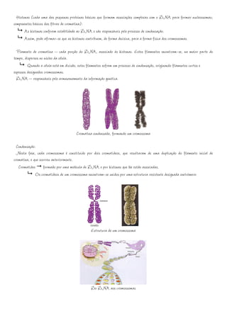 Histonas (cada uma das pequenas proteínas básicas que formam associações complexas com o DNA para formar nucleossomas;
componentes básicos das fibras de cromatina):
       As histonas conferem estabilidade ao DNA e são responsáveis pelo processo de condensação.
       Assim, pode afirmar-se que as histonas contribuem, de forma decisiva, para a forma física dos cromossomas.

  Filamento de cromatina – cada porção do DNA, associado às histonas. Estes filamentos encontram-se, na maior parte do
tempo, dispersos no núcleo da célula.
         Quando a célula está em divisão, estes filamentos sofrem um processo de condensação, originando filamentos curtos e
espessos designados cromossomas.
  DNA – responsáveis pelo armazenamento da informação genética.




                                       Cromatina condensada, formando um cromossoma

  Condensação:
  Nesta fase, cada cromossoma é constituído por dois cromatídeos, que resultaram de uma duplicação do filamento inicial de
cromatina, e que ocorreu anteriormente.
   Cromatídeo formado por uma molécula de DNA e por histonas que lhe estão associadas.
              Os cromatídeos de um cromossoma encontram-se unidos por uma estrutura resistente designada centrómero




                                                Estrutura de um cromossoma




                                                Do DNA aos cromossomas
 