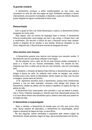 O grande mistério
A Sementinha começou a sofrer transformações no seu corpo, que
consistiam no ciclo da vida dos bagos de trigo. Entretanto começou a chover
intensamente, provocando inundações e deixando a seara do António Seareiro
quase afogada em água e condenada à morte certa.
Ressurreição
Com a ajuda do Sol e do Vento Bonançoso a seara e a Sementinha tinham
escapado de morte certa.
Dias depois, veio um rancho de raparigas fazer a monda. A Sementinha
tinha-se transformado numa espiga, por isso o seu amigo, o Chapim Azul, não
a reconheceu. Ele deu-lhe a notícia de que o Rouxinol nunca mais cantara,
devido à angústia de ter perdido a sua amada, tendo-se refugiado no seu
ninho. Segundo ele, o Rouxinol teria morrido de desgosto de amor.
Uma menina com tranças
A Sementinha parecia uma menina com tranças com caracóis verdes. O
Sol disse-lhe que as suas flores voltariam a ser bagos.
No dia seguinte, com o calor do Sol as suas tranças verdes começaram a
secar e a mudar de cor, ficando amareladas, loiras. Foi através da Sra.
Cegonha que ficou a saber que já não era uma semente, mas sim uma espiga
loira.
Entretanto, o Amarelo de Barba Preta informou a Sementinha que estava a
chegar a época da ceifa. As ceifeiras iriam cortar as espigas, que seriam
levadas para a eira, sendo aí debulhadas, dando origem ao trigo, que iria para
a moagem, donde sairia em farinha.
O Sr. Agrónomo escolheu levar a Sementinha, porque tinha amadurecido
primeiro e era um belo exemplar. Arrancou uma espiga dos braços da
Sementinha, desfez as palhas com os dedos e espalhou os bagos de trigo na
palma da mão.
A Sementinha ficou preocupada, sem perceber o que se estava a passar,
mas a Terra- Feiticeira sossegou-a, dizendo para ficar descansada porque ela
e os seus filhos tinham sido escolhidos para o destino mais belo que podem ter
os bagos de trigo.
A Sementinha é esquartejada
Após a colheita, a Sementinha foi levada para um sítio que nunca tinha
visto. Numa espécie de laboratório, a Sementinha foi esquartejada, dando
origem a dezenas de bagos de trigo, os seus filhos.
No ano seguinte, seriam semeados e passariam pelo mesmo trajeto da
Sementinha, desde semente, bagos de trigo, até se transformarem em farinha.
 
