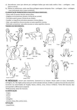 a) Sincondroses: ossos que aderem por cartilagem hialina que mais tarde ossifica. Osso – cartilagem – osso 
(sacro e cóccix). 
b) Sínfises ou anfiartroses: existe uma fibrocartilagem espessa interposta. Osso – cartilagem – disco – cartilagem 
– osso (articulação entre corpos vertebrais). 
CLASSIFICAÇÃO MORFOLÓGICA DAS JUNTURAS SINOVIAIS: 
- Plana: estão na mesma direção, mesmo plano. 
- Ginglimo ou trocleartrose: possuía a forma de um carretel. 
- Trocóide ou pivô: possui a forma de um cilindro. 
- Condilar: as superfícies articulares possuem a forma elíptica. 
- Selar: uma superfície côncava encaixa-se numa superfície convexa. 
- Esferoide ou enartrose: uma esfera encaixa-se numa superfície côncava. 
TERMOS DE MOVIMENTO: 
8) MÚSCULOS: servem para movimento. Contraem-se ou relaxam. Atuam sobre os ossos, articulações, 
cartilagens, etc. São órgãos porque possuem ventre (porção carnosa), tendões ou aponeuroses (tecido conjuntivo 
resistente nas extremidades de fixação), fáscias, artérias, veias, nervos e linfáticos. Temos 501 músculos. Que 
correspondem a 40% do peso corpporal. 
 Miosarcomas: câncer de músculos. 
CLASSIFICAÇÃO: 
- longos: 
- planos: 
- curtos: 
- alongados: 
- anulares: boca, olho, uretra e anus. 
SITUAÇÃO: 
- esqueléticos: 
 