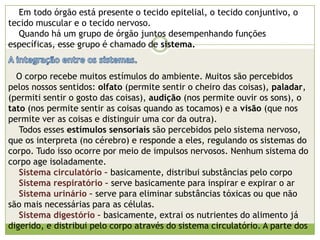 -Parte sólida: organelas citoplasmáticas.-Parte liquida: água + sais minerais.Ribossomos: Produzem proteínas, e são responsáveis pelo crescimento e reparo da célula.Vacúolos: Controlam a quantidade de água na célula, armazenam substâncias, e participam da digestão (intracelular).Retículo endoplasmático: Responsável pelo transporte de substâncias na célula.Lisossomo: Responsáveis por eliminar ou partes danificadas (desgastadas), ou substâncias tóxicas da célula.Mitocôndria: Responsável pela respiração celular, e por produzir energia para o funcionamento da célula.Complexo de Golgi: Armazena proteínas que ainda serão usadas pela célula.As células musculares são alongadas para facilitar a contração dos músculos.Os glóbulos vermelhos são arredondados para facilitar a sua locomoção. Já os neurônios, ou células nervosas são longas e tem uma “divisão” (ramificação) em suas extremidades, para facilitar a capitação e a transmissão dos impulsos nervosos.  