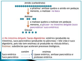 Função reguladora: regular o funcionamento (saudável) do corpoFunçãoplástica:proteínas elipídios – dica: pláproliplá = proliFunção energética: proteínas(se houver ausência de carboidratos), lipídios e carboidratoener = proli + carboFunção reguladora: proteínas, minerais, vitaminas e fibras da dietaregu = pro + mivifiProteínas:   carne, frango, peixeEvitam desnutrição