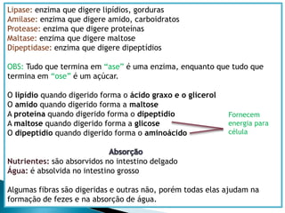 Participam da composição das células