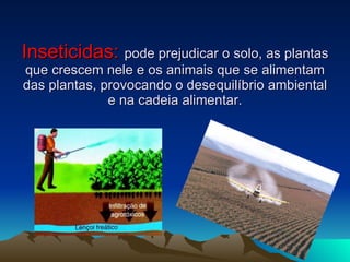 Inseticidas:   pode prejudicar o solo, as plantas que crescem nele e os animais que se alimentam das plantas, provocando o desequilíbrio ambiental e na cadeia alimentar. 