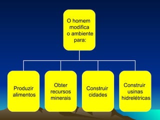 O homem  modifica o ambiente para: Produzir alimentos Construir  cidades Construir  usinas hidrelétricas Obter recursos  minerais 