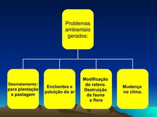Problemas ambientais  gerados: Desmatamento : para plantação e pastagem Modificação   do relevo.  Destruição  da fauna  e flora Mudança  no clima. Enchentes e poluição do ar 