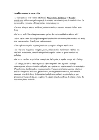 Ancilostomose - amarelão
-O ciclo começa com vermes adultos do Ancylostoma duodenale ou Necator
americanus (diferem-se pelos tipos de dentes) no intestino delgado de um indivíduo. Os
mesmos irão copular e a fêmea inicia a postura dos ovos
-Os ovos atingem o meio ambiente junto com as fezes, quando o doente defeca ao ar
livre
-As larvas serão liberadas por causa da quebra dos ovos devido à erosão do solo
-Essas larvas livres no solo poderão penetrar em outro indivíduo (atravessando sua pele)
se o mesmo estiver descalço no meio ambiente
-Dos capilares da pele, seguem junto com o sangue e atingem a veia cava
-Da veia cava chegam ao coração e, deste, até as artérias pulmonares e depois nos
capilares pulmonares, os quais são perfurados pelas larvas, as quais invadem os
pulmões
-As larvas escalam os pulmões, bronquíolos, brônquios, traquéia, laringe até a faringe
-Da faringe, as larvas serão engolidas e passam para o tubo digestor (esôfago,
estômago) até atingir o intestino delgado, anexando-se no mesmo através de seus dentes
(Ancylostoma duodenale) ou placas cortantes (Necator americanus), com o intuito de
retirar o sangue do indivíduo, promovendo, se em grande quantidade, uma anemia,
caussada pela deficiência de hemácias (glóbulos vermelhos) na circulação, o que
prejudica o transporte de gás oxigênio. O aspecto empalidecido de doentes é a razão da
denominação de amarelão
 