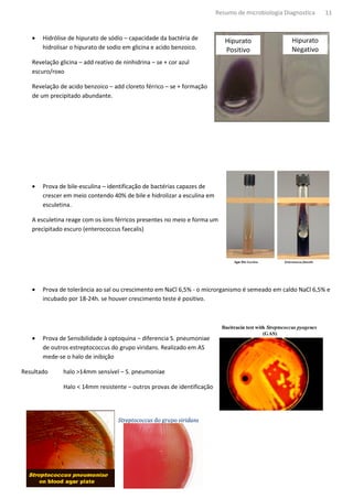 Resumo de microbiologia Diagnostica   11


   •   Hidrólise de hipurato de sódio – capacidade da bactéria de
       hidrolisar o hipurato de sodio em glicina e acido benzoico.

   Revelação glicina – add reativo de ninhidrina – se + cor azul
   escuro/roxo

   Revelação de acido benzoico – add cloreto férrico – se + formação
   de um precipitado abundante.




   •   Prova de bile-esculina – identificação de bactérias capazes de
       crescer em meio contendo 40% de bile e hidrolizar a esculina em
       esculetina.

   A esculetina reage com os íons férricos presentes no meio e forma um
   precipitado escuro (enterococcus faecalis)




   •   Prova de tolerância ao sal ou crescimento em NaCl 6,5% - o microrganismo é semeado em caldo NaCl 6,5% e
                               al
       incubado por 18-24h. se houver crescimento teste é positivo.
                       24h.




   •   Prova de Sensibilidade à optoquina – diferencia S. pneumoniae
       de outros estreptococcus do grupo viridans. Realiz
                                                   Realizado em AS
       mede-se o halo de inibição

Resultado      halo >14mm sensível – S. pneumoniae

               Halo < 14mm resistente – outros provas de identificação
 
