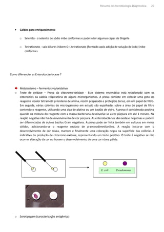 Resumo de microbiologia Diagnostica     20




   •   Caldos para enriquecimento

       o   Selenito - o selenito de sódio inibe coliformes e pode inibir algumas cepas de Shigella

       o   Tetrationato - sais biliares inibem G+, tetrationato (formado após adição de solução de iodo) inibe
           coliformes




Como diferenciar as Enterobacteriaceae ?



       Metabolismo – fermentativo/oxidativo
   o   Teste de oxidase – Prova da citocromo-oxidase - Este sistema enzimático está relacionado com os
       citocromos da cadeia respiratória de alguns microrganismos. A prova consiste em colocar uma gota do
       reagente incolor tetrametil p-fenileno de amina, recém preparado e protegido da luz, em um papel de filtro.
       Em seguida, várias colônias do microrganismo em estudo são espalhadas sobre a área do papel de filtro
       contendo o reagente, utilizando uma alça de platina ou um bastão de vidro. A prova é considerada positiva
       quando na mistura do reagente com a massa bacteriana desenvolve-se a cor púrpura em até 1 minuto. Na
       reação negativa não há desenvolvimento de cor púrpura. As enterobactérias são oxidase negativas e podem
       ser diferenciadas de outros bacilos Gram negativos. A prova pode ser feita também em culturas em meios
       sólidos, adicionando-se o reagente oxalato de p-aminodimetilanilina. A reação inicia-se com o
       desenvolvimento de cor rósea, marrom e finalmente uma coloração negra na superfície das colônias é
       indicativa da produção de citocromo-oxidase, representando um teste positivo. O teste é negativo se não
       ocorrer alteração da cor ou houver o desenvolvimento de uma cor rósea pálida.




                                                                          E. coli     Pseudomonas




   o   Sorotipagem (caracterização antigênica)
 