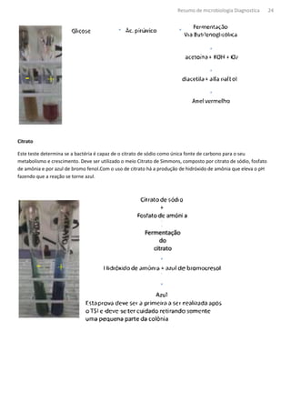 Resumo de microbiologia Diagnostica        24




Citrato

Este teste determina se a bactéria é capaz de o citrato de sódio como única fonte de carbono para o seu
                              éria
metabolismo e crescimento. Deve ser utilizado o meio Citrato de Simmons, composto por citrato de sódio, fosfato
de amônia e por azul de bromo fenol.Com o uso de citrato há a produção de hidróxido de amônia que eleva o pH
fazendo que a reação se torne azul.
 