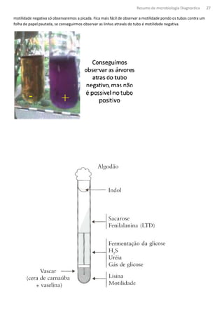 Resumo de microbiologia Diagnostica        27

motilidade negativa só observaremos a picada. Fica mais fácil de observar a motilidade pondo os tubos contra um
folha de papel pautada, se conseguirmos observar as linhas através do tubo é motilidade negativa.
 