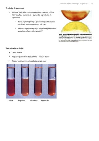 Resumo de microbiologia Diagnostica   31

Produção de pigmentos

   •   Meio de Tech & Flo – contém peptonas espec
                                            especiais e [ ] de
          2+
       Mg e sulfato aumentada – aumentar a produção de
       pigmentos

           –   Bacto peptona (Tech) – piocianina (azul turquesa
               luz visível, sem fluorescência sob UV)

           –   Peptona-3-proteose (Flo) – pioverdina (amarela luz
                           proteose
               visível, com fluorescência sob UV)




Descarboxilação de AA

   •   Caldo Moeller

   •   Pequena quantidade de substrato + inóculo denso

   •   Reação positiva: intensificação da cor púrpura
 