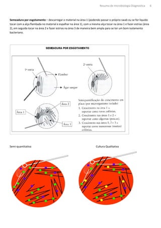Resumo de microbiologia Diagnostica         6



Semeadura por esgotamento – descarregar o material na área 1 (podendo passar o próprio swab ou se for liquido
tocar com a alça flambada no material e espalhar na área 1), com a mesma alça tocar na área 1 e fazer estrias (área
2), em seguida tocar na área 2 e fazer estrias na área 3 de maneira bem ampla para se ter um bom is
                                                                                                  isolamento
bacteriano.




Semi-quantitativa                                                      Cultura Qualitativa
 