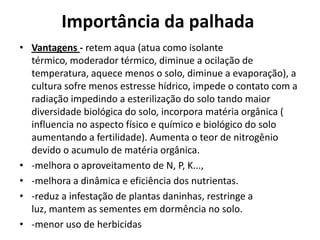 Importância da palhada
• Vantagens - retem aqua (atua como isolante
térmico, moderador térmico, diminue a ocilação de
temperatura, aquece menos o solo, diminue a evaporação), a
cultura sofre menos estresse hídrico, impede o contato com a
radiação impedindo a esterilização do solo tando maior
diversidade biológica do solo, incorpora matéria orgânica (
influencia no aspecto físico e químico e biológico do solo
aumentando a fertilidade). Aumenta o teor de nitrogênio
devido o acumulo de matéria orgânica.
• -melhora o aproveitamento de N, P, K...,
• -melhora a dinâmica e eficiência dos nutrientas.
• -reduz a infestação de plantas daninhas, restringe a
luz, mantem as sementes em dormência no solo.
• -menor uso de herbicidas
 