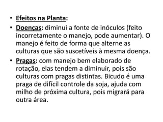 • Efeitos na Planta:
• Doenças: diminui a fonte de inóculos (feito
incorretamente o manejo, pode aumentar). O
manejo é feito de forma que alterne as
culturas que são suscetíveis à mesma doença.
• Pragas: com manejo bem elaborado de
rotação, elas tendem a diminuir, pois são
culturas com pragas distintas. Bicudo é uma
praga de difícil controle da soja, ajuda com
milho de próxima cultura, pois migrará para
outra área.
 
