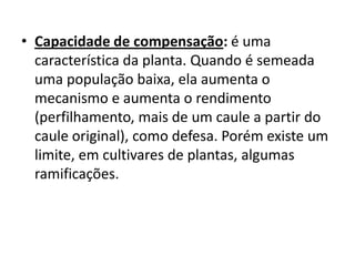 • Capacidade de compensação: é uma
característica da planta. Quando é semeada
uma população baixa, ela aumenta o
mecanismo e aumenta o rendimento
(perfilhamento, mais de um caule a partir do
caule original), como defesa. Porém existe um
limite, em cultivares de plantas, algumas
ramificações.
 