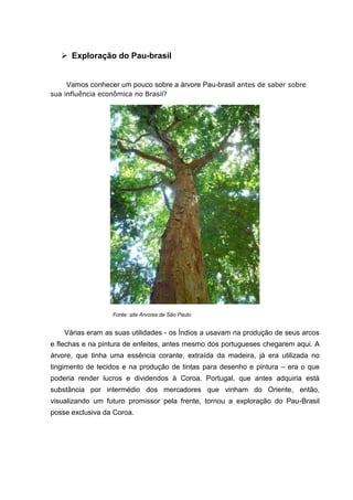  Exploração do Pau-brasil
Vamos conhecer um pouco sobre a árvore Pau-brasil antes de saber sobre
sua influência econômica no Brasil?
Fonte: site Arvores de São Paulo
Várias eram as suas utilidades - os Índios a usavam na produção de seus arcos
e flechas e na pintura de enfeites, antes mesmo dos portugueses chegarem aqui. A
árvore, que tinha uma essência corante, extraída da madeira, já era utilizada no
tingimento de tecidos e na produção de tintas para desenho e pintura – era o que
poderia render lucros e dividendos à Coroa. Portugal, que antes adquiria está
substância por intermédio dos mercadores que vinham do Oriente, então,
visualizando um futuro promissor pela frente, tornou a exploração do Pau-Brasil
posse exclusiva da Coroa.
 