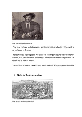 Fonte: www.revistadehistoria.com.br
- Pela larga parte da costa brasileira a espécie vegetal semelhante, o Pau-brasil, já
era conhecida no Oriente.
- Indiretamente a exploração do Pau-brasil deu origem para alguns estabelecimentos
coloniais, mas, mesmo assim, a exploração não serviu em nada nem para fixar um
núcleo de povoamento no país.
- Foi rápida a decadência da exploração do Pau-brasil, e o negócio perdeu interesse.
 Ciclo da Cana-de-açúcar
Fonte: blogspot seguindo passos historia
 