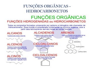 FUNÇÕES ORGÂNICAS -
HIDROCARBONETOS
 