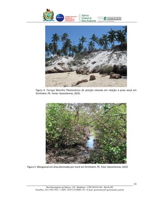 Unidade Executora
                                     Estadual do
                                     PRODETUR DE
                                     PERNAMBUCO




       Figura 4. Terraço Marinho Pleistocênico de posição elevada em relação à praia atual em
       Sirinhaém, PE. Fonte: Geosistemas, 2010.




Figura 5. Manguezal em área dominada por maré em Sirinhaém, PE. Foto: Geosistemas, 2010.




                                                                                                       11
                   Rua Hermógenes de Morais, 120 - Madalena – CEP 50.610-160 – Recife-PE
       Fone/Fax: (81) 3445-7033 – CNPJ: 70.073.275/0001-30 – E-mail: geosistemas@ geosistemas.com.br
 