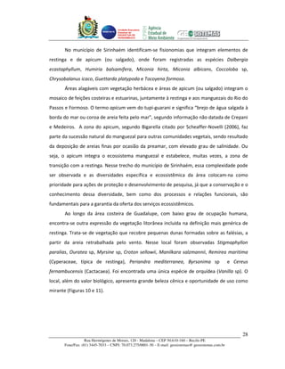 Unidade Executora
                                     Estadual do
                                     PRODETUR DE
                                     PERNAMBUCO




       No município de Sirinhaém identificam-se fisionomias que integram elementos de
restinga e de apicum (ou salgado), onde foram registradas as espécies Dalbergia
ecastaphyllum, Humiria balsamifera, Miconia hirta, Miconia albicans, Coccoloba sp,
Chrysobalanus icaco, Guettarda platypoda e Tocoyena formosa.
       Áreas alagáveis com vegetação herbácea e áreas de apicum (ou salgado) integram o
mosaico de feições costeiras e estuarinas, juntamente à restinga e aos manguezais do Rio do
Passos e Formoso. O termo apicum vem do tupi-guarani e significa “brejo de água salgada à
borda do mar ou coroa de areia feita pelo mar”, segundo informação não datada de Crepani
e Medeiros. A zona do apicum, segundo Bigarella citado por Scheaffer-Novelli (2006), faz
parte da sucessão natural do manguezal para outras comunidades vegetais, sendo resultado
da deposição de areias finas por ocasião da preamar, com elevado grau de salinidade. Ou
seja, o apicum integra o ecossistema manguezal e estabelece, muitas vezes, a zona de
transição com a restinga. Nesse trecho do município de Sirinhaém, essa complexidade pode
ser observada e as diversidades específica e ecossistêmica da área colocam-na como
prioridade para ações de proteção e desenvolvimento de pesquisa, já que a conservação e o
conhecimento dessa diversidade, bem como dos processos e relações funcionais, são
fundamentais para a garantia da oferta dos serviços ecossistêmicos.
       Ao longo da área costeira de Guadalupe, com baixo grau de ocupação humana,
encontra-se outra expressão da vegetação litorânea incluída na definição mais genérica de
restinga. Trata-se de vegetação que recobre pequenas dunas formadas sobre as falésias, a
partir da areia retrabalhada pelo vento. Nesse local foram observadas Stigmaphyllon
paralias, Ouratea sp, Myrsine sp, Croton sellowii, Manilkara salzmannii, Remirea maritima
(Cyperaceae, típica de restinga), Periandra mediterranea, Byrsonima sp                                 e Cereus
fernambucensis (Cactacaea). Foi encontrada uma única espécie de orquídea (Vanilla sp). O
local, além do valor biológico, apresenta grande beleza cênica e oportunidade de uso como
mirante (Figuras 10 e 11).




                                                                                                            28
                   Rua Hermógenes de Morais, 120 - Madalena – CEP 50.610-160 – Recife-PE
       Fone/Fax: (81) 3445-7033 – CNPJ: 70.073.275/0001-30 – E-mail: geosistemas@ geosistemas.com.br
 