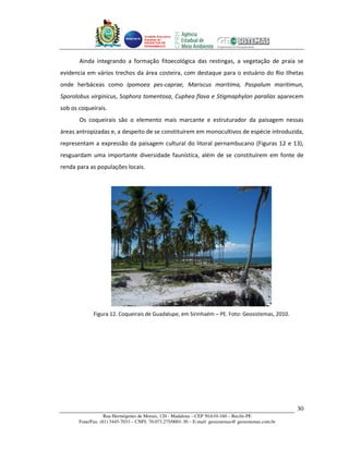 Unidade Executora
                                     Estadual do
                                     PRODETUR DE
                                     PERNAMBUCO




       Ainda integrando a formação fitoecológica das restingas, a vegetação de praia se
evidencia em vários trechos da área costeira, com destaque para o estuário do Rio Ilhetas
onde herbáceas como Ipomoea pes-caprae, Mariscus maritima, Paspalum maritimun,
Sporolobus virginicus, Sophora tomentosa, Cuphea flava e Stigmaphylon paralias aparecem
sob os coqueirais.
       Os coqueirais são o elemento mais marcante e estruturador da paisagem nessas
áreas antropizadas e, a despeito de se constituírem em monocultivos de espécie introduzida,
representam a expressão da paisagem cultural do litoral pernambucano (Figuras 12 e 13),
resguardam uma importante diversidade faunística, além de se constituírem em fonte de
renda para as populações locais.




             Figura 12. Coqueirais de Guadalupe, em Sirinhaém – PE. Foto: Geosistemas, 2010.




                                                                                                       30
                   Rua Hermógenes de Morais, 120 - Madalena – CEP 50.610-160 – Recife-PE
       Fone/Fax: (81) 3445-7033 – CNPJ: 70.073.275/0001-30 – E-mail: geosistemas@ geosistemas.com.br
 