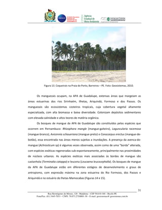 Unidade Executora
                                     Estadual do
                                     PRODETUR DE
                                     PERNAMBUCO




              Figura 13. Coqueirais na Praia do Porto, Barreiros – PE. Foto: Geosistemas, 2010.


       Os manguezais ocupam, na APA de Guadalupe, extensas áreas que margeiam as
áreas estuarinas dos rios Sirinhaém, Ilhetas, Ariquindá, Formoso e dos Passos. Os
manguezais são ecossistemas costeiros tropicais, cuja cobertura vegetal altamente
especializada, com alta biomassa e baixa diversidade. Colonizam depósitos sedimentares
com elevada salinidade e altos teores de matéria orgânica.
       Os bosques de mangue da APA de Guadalupe são constituídos pelas espécies que
ocorrem em Pernambuco: Rhizophora mangle (mangue-gaiteiro), Laguncularia racemosa
(mangue-branco), Avicennia schaueriana (mangue-preto) e Conocarpus erectus (mangue-de-
botão), essa encontrada nas áreas menos sujeitas a inundações. A presença da avenca-do-
mangue (Achrosticum sp) é algumas vezes observada, assim como de uma “borda” alterada,
com espécies exóticas regeneradas sub-espontaneamente, principalmente nas proximidades
de núcleos urbanos. As espécies exóticas mais associadas às bordas de mangue são
castanhola (Terminalia catappa) e leucena (Leucaena leucocephalla). Os bosques de mangue
da APA de Guadalupe estão em diferentes estágios de desenvolvimento e graus de
antropismo, com expressão máxima na zona estuarina do Rio Formoso, dos Passos e
Ariquindá e no estuário do lhetas-Mamocabas (Figuras 14 e 15).



                                                                                                       31
                   Rua Hermógenes de Morais, 120 - Madalena – CEP 50.610-160 – Recife-PE
       Fone/Fax: (81) 3445-7033 – CNPJ: 70.073.275/0001-30 – E-mail: geosistemas@ geosistemas.com.br
 