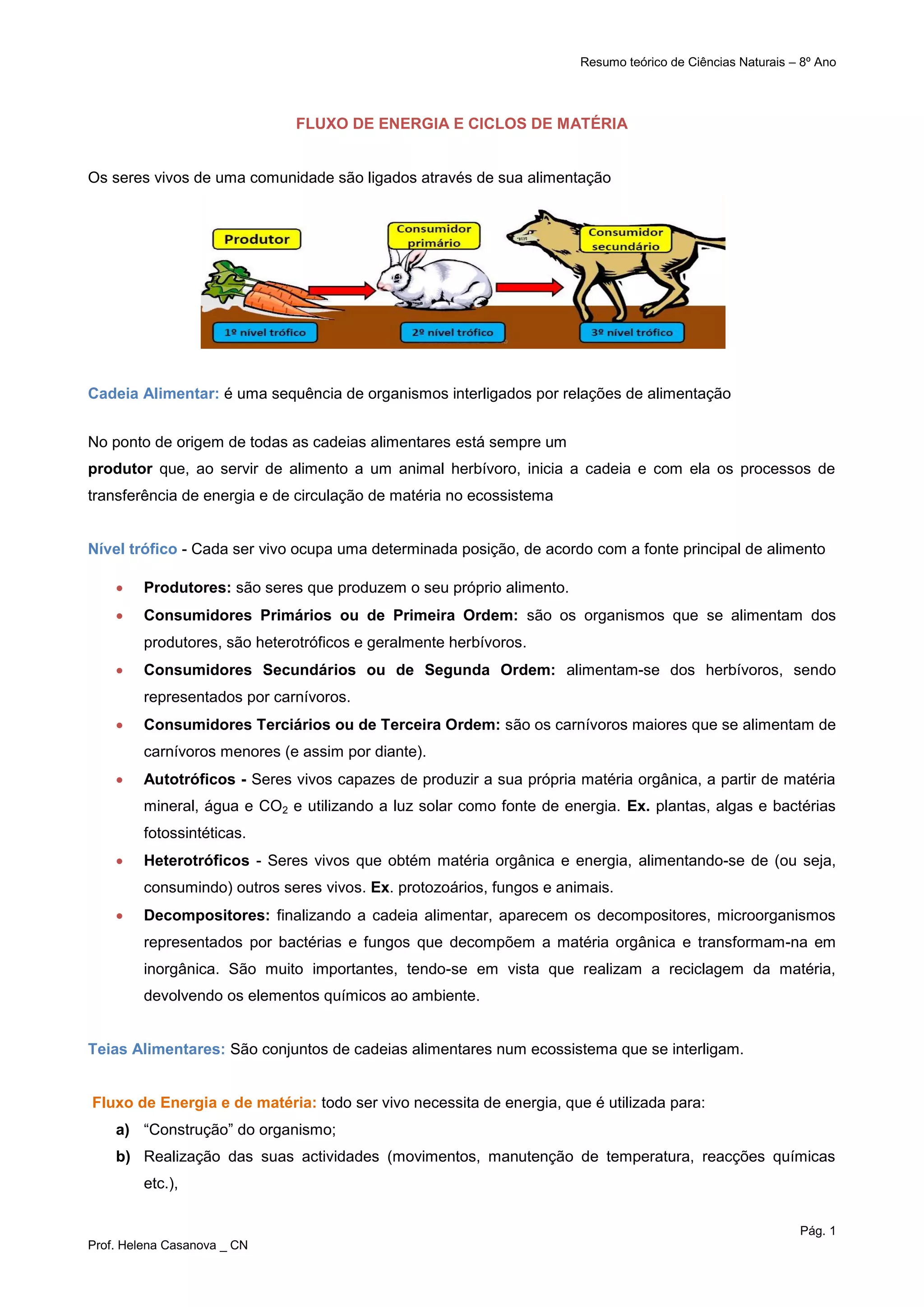 Resumo fluxo de energia e ciclo da matéria | PDF | Download Gratuito