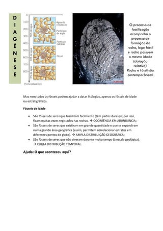 Mas nem todos os fósseis podem ajudar a datar litologias, apenas os fósseis de idade
ou estratigráficos.

Fósseis de idade

      São fósseis de seres que fossilizam facilmente (têm partes duras) e, por isso,
       ficam muitas vezes registados nas rochas.  OCORRÊNCIA EM ABUNDÂNCIA;
      São fósseis de seres que existiram em grande quantidade e que se expandiram
       numa grande área geográfica (assim, permitem correlacionar estratos em
       diferentes pontos do globo).  AMPLA DISTRIBUIÇÃO GEOGRÁFICA;
      São fósseis de seres que não viveram durante muito tempo (à escala geológica).
        CURTA DISTRIBUÇÃO TEMPORAL.

Ajuda: O que aconteceu aqui?
 