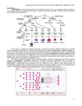 Arlindo Ugulino Netto; Luiz Gustavo Barros; Yuri Leite Eloy – HEMATOLOGIA – MEDICINA P8 – 2011.1
123
LEUCOGRAMA
O leucograma é o estudo da série branca (ou leucócitos), em que se faz uma contagem total dos leucócitos e
uma contagem diferencial contando-se 100 células. O adulto normalmente apresenta de 5.000-10.000 leucócitos por
mm³ de sangue aproximadamente.
Como vimos a propósito de capítulos anteriores, as células da linhagem linfóide formadas até o mielócito
inclusive (mieloblasto, pró-mielócito e mielócito) são agrupadas no chamado compartimento mitótico medular (em
comum, todas estas células se formam por mitose e não realizam fagocitose de agentes estranhos). Já as células que
vão desde os metamielócitos até os segmentados são células do chamado compartimento de reserva medular (CRM),
e que existem na medula óssea com o objetivo de suprir uma necessidade na vigência de um processo infeccioso, por
exemplo. Isso se faz importante pois, diferentemente das hemácias, os granulócitos vivem apenas poucas horas: o
segmentado neutrófilo, por exemplo, vive apenas 6 horas.
Além disso, os leucócitos, quando chegam ao sangue periférico, podem se comportar de duas maneiras: podem
integrar o compartimento circulante (ocupando a circulação sanguínea propriamente dita) ou integrar o
compartimento marginal (quando se encontra aderido às paredes dos vasos). Nesta forma, os leucócitos não são
determinados ou mensurados pelo hemograma, mas na presença de uma infecção, eles podem retornar ao
compartimento circulante. Estes compartimentos sempre estão em renovação constate: assim que um leucócito passa a
integrar o compartimento marginal, outro leucócito ocupa seu lugar no compartimento circulante.
 