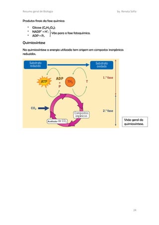 Resumo geral de Biologia by. Renata Sofia
24
Produtos finais da fase química:
* Glicose (C6H12O6);
* NADP+
+ H+
;
* ADP + Pi.
Quimiossíntese
Na quimiossíntese a energia utilizada tem origem em compostos inorgânicos
reduzidos.
Vão para a fase fotoquímica.
Visão geral da
quimiossíntese.
 