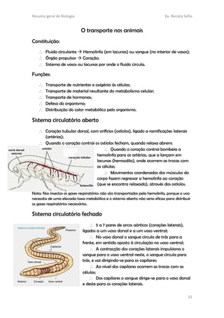 Resumo geral de Biologia by. Renata Sofia
33
O transporte nos animais
Constituição:
 Fluido circulante  Hemolinfa (em lacunas) ou sangue (no interior de vasos);
 Órgão propulsor  Coração;
 Sistema de vasos ou lacunas por onde o fluido circula.
Funções:
 Transporte de nutrientes e oxigénio às células;
 Transporte de material resultante do metabolismo celular;
 Transporte de hormonas;
 Defesa do organismo;
 Distribuição do calor metabólico pelo organismo.
Sistema circulatório aberto
 Coração tubular dorsal, com orifícios (ostíolos), ligado a ramificações laterais
(artérias);
 Quando o coração contrai os ostíolos fecham, quando relaxa abrem;
 Quando o coração contrai bombeia a
hemolinfa para as artérias, que a lançam em
lacunas (hemocélio), onde ocorrem as trocas com
as células;
 Movimentos coordenados dos músculos do
corpo fazem regressar a hemolinfa ao coração
(que se encontra relaxado), através dos ostíolos.
Nota: Nos insectos os gases respiratórios não são transportados pela hemolinfa, porque o voo
necessita de uma elevada taxa metabólica e o sistema aberto não seria eficaz para distribuir
os gases respiratórios necessários.
Sistema circulatório fechado
 5 a 7 pares de arcos aórticos (corações laterais),
ligados a um vaso dorsal e a um vaso ventral;
 No vaso dorsal o sangue circula de trás para a
frente, em sentido oposto à circulação no vaso ventral;
 A contracção dos corações laterais impulsiona o
sangue para o vaso ventral neste, o sangue circula para
trás, e vai dirigindo-se para os capilares;
 Ao nível dos capilares ocorrem as trocas com as
células;
 Dos capilares o sangue dirige-se para o vaso dorsal
e deste para os corações laterais.
 
