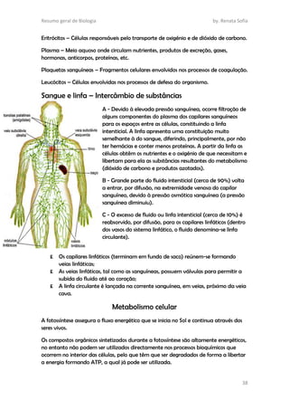 Resumo geral de Biologia by. Renata Sofia
38
Eritrócitos – Células responsáveis pelo transporte de oxigénio e de dióxido de carbono.
Plasma – Meio aquoso onde circulam nutrientes, produtos de excreção, gases,
hormonas, anticorpos, proteínas, etc.
Plaquetas sanguíneas – Fragmentos celulares envolvidos nos processos de coagulação.
Leucócitos – Células envolvidas nos processos de defesa do organismo.
Sangue e linfa – Intercâmbio de substâncias
A - Devido à elevada pressão sanguínea, ocorre filtração de
alguns componentes do plasma dos capilares sanguíneos
para os espaços entre as células, constituindo a linfa
intersticial. A linfa apresenta uma constituição muito
semelhante à do sangue, diferindo, principalmente, por não
ter hemácias e conter menos proteínas. A partir da linfa as
células obtêm os nutrientes e o oxigénio de que necessitam e
libertam para ela as substâncias resultantes do metabolismo
(dióxido de carbono e produtos azotados).
B - Grande parte do fluido intersticial (cerca de 90%) volta
a entrar, por difusão, na extremidade venosa do capilar
sanguíneo, devido à pressão osmótica sanguínea (a pressão
sanguínea diminuiu).
C - O excesso de fluido ou linfa intersticial (cerca de 10%) é
reabsorvido, por difusão, para os capilares linfáticos (dentro
dos vasos do sistema linfático, o fluido denomina-se linfa
circulante).
£ Os capilares linfáticos (terminam em fundo de saco) reúnem-se formando
veias linfáticas;
£ As veias linfáticas, tal como as sanguíneas, possuem válvulas para permitir a
subida do fluido até ao coração;
£ A linfa circulante é lançada na corrente sanguínea, em veias, próximo da veia
cava.
Metabolismo celular
A fotossíntese assegura o fluxo energético que se inicia no Sol e continua através dos
seres vivos.
Os compostos orgânicos sintetizados durante a fotossíntese são altamente energéticos,
no entanto não podem ser utilizados directamente nos processos bioquímicos que
ocorrem no interior das células, pelo que têm que ser degradados de forma a libertar
a energia formando ATP, a qual já pode ser utilizada.
 