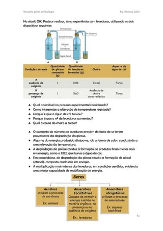 Resumo geral de Biologia by. Renata Sofia
41
No século XIX, Pasteur realizou uma experiência com leveduras, utilizando os dois
dispositivos seguintes:
 Qual a variável no processo experimental considerado?
 Como interpretas a alteração de temperatura registada?
 Porque é que a água de cal turvou?
 Porque é que o nº de leveduras aumentou?
 Qual a causa do cheiro a álcool?
 O aumento do número de leveduras provém do facto de se terem
proveniente da degradação da glicose.
 Alguma da energia produzida dissipa-se, sob a forma de calor, conduzindo a
uma elevação da temperatura.
 A degradação da glicose conduz à formação de produtos finais menos ricos
em energia, como o CO2, que turva a água de cal.
 Em anaerobiose, da degradação da glicose resulta a formação de álcool
(etanol), composto ainda rico em energia.
 A multiplicação mais intensa das leveduras, em condições aeróbias, evidencia
uma maior capacidade de mobilização de energia.
 