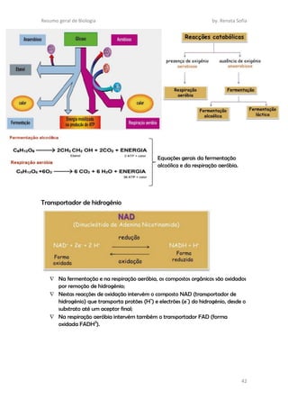 Resumo geral de Biologia by. Renata Sofia
42
Equações gerais da fermentação
alcoólica e da respiração aeróbia.
Transportador de hidrogénio
 Na fermentação e na respiração aeróbia, os compostos orgânicos são oxidados
por remoção de hidrogénio;
 Nestas reacções de oxidação intervém o composto NAD (transportador de
hidrogénio) que transporta protões (H+
) e electrões (e-
) do hidrogénio, desde o
substrato até um aceptor final;
 Na respiração aeróbia intervém também o transportador FAD (forma
oxidada FADH2
).
 