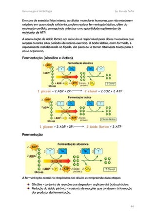 Resumo geral de Biologia by. Renata Sofia
44
Em caso de exercício físico intenso, as células musculares humanas, por não receberem
oxigénio em quantidade suficiente, podem realizar fermentação láctica, além da
respiração aeróbia, conseguindo sintetizar uma quantidade suplementar de
moléculas de ATP.
A acumulação de ácido láctico nos músculos é responsável pelas dores musculares que
surgem durante estes períodos de intenso exercício. O ácido láctico, assim formado, é
rapidamente metabolizado no fígado, sob pena de se tornar altamente tóxico para o
nosso organismo.
Fermentação (alcoólica e láctica)
Fermentação
A fermentação ocorre no citoplasma das células e compreende duas etapas:
Glicólise - conjunto de reacções que degradam a glicose até ácido pirúvico;
Redução do ácido pirúvico - conjunto de reacções que conduzem à formação
dos produtos da fermentação.
 