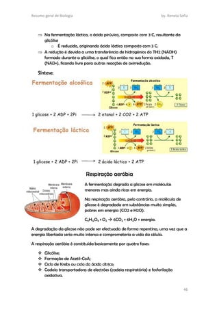 Resumo geral de Biologia by. Renata Sofia
46
 Na fermentação láctica, o ácido pirúvico, composto com 3 C, resultante da
glicólise
o É reduzido, originando ácido láctico composto com 3 C.
 A redução é devida a uma transferência de hidrogénios do TH2 (NADH)
formado durante a glicólise, o qual fica então na sua forma oxidada, T
(NAD+), ficando livre para outras reacções de oxirredução.
Síntese:
Respiração aeróbia
A fermentação degrada a glicose em moléculas
menores mas ainda ricas em energia.
Na respiração aeróbia, pelo contrário, a molécula de
glicose é degradada em substâncias muito simples,
pobres em energia (CO2 e H2O).
C6H12O6 + O2  6CO2 + 6H2O + energia.
A degradação da glicose não pode ser efectuada de forma repentina, uma vez que a
energia libertada seria muito intensa e comprometeria a vida da célula.
A respiração aeróbia é constituída basicamente por quatro fases:
 Glicólise;
 Formação de Acetil-CoA;
 Ciclo de Krebs ou ciclo do ácido cítrico;
 Cadeia transportadora de electrões (cadeia respiratória) e fosforilação
oxidativa.
 