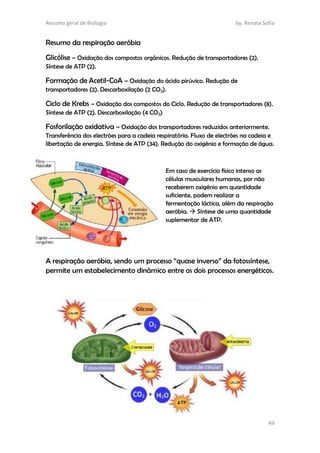 Resumo geral de Biologia by. Renata Sofia
49
Resumo da respiração aeróbia
Glicólise – Oxidação dos compostos orgânicos. Redução de transportadores (2).
Síntese de ATP (2).
Formação de Acetil-CoA – Oxidação do ácido pirúvico. Redução de
transportadores (2). Descarboxilação (2 CO2).
Ciclo de Krebs – Oxidação dos compostos do Ciclo. Redução de transportadores (8).
Síntese de ATP (2). Descarboxilação (4 CO2)
Fosforilação oxidativa – Oxidação dos transportadores reduzidos anteriormente.
Transferência dos electrões para a cadeia respiratória. Fluxo de electrões na cadeia e
libertação de energia. Síntese de ATP (34). Redução do oxigénio e formação de água.
Em caso de exercício físico intenso as
células musculares humanas, por não
receberem oxigénio em quantidade
suficiente, podem realizar a
fermentação láctica, além da respiração
aeróbia.  Síntese de uma quantidade
suplementar de ATP.
A respiração aeróbia, sendo um processo “quase inverso” da fotossíntese,
permite um estabelecimento dinâmico entre os dois processos energéticos.
 