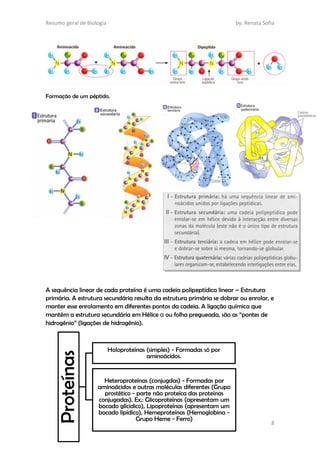 Resumo geral de Biologia by. Renata Sofia
8
Proteínas
Holoproteínas (simples) - Formadas só por
aminoácidos.
Heteroproteínas (conjugdas) - Formadas por
aminoácidos e outras moléculas diferentes (Grupo
prostético - parte não proteíca das proteínas
conjugadas). Ex.: Glicoproteínas (apresentam um
bocado glícidico), Lipoproteínas (apresentam um
bocado lipídico), Hemeproteínas (Hemoglobina -
Grupo Heme - Ferro)
Proteínas
Holoproteínas (simples) - Formadas só por
aminoácidos.
Heteroproteínas (conjugdas) - Formadas por
aminoácidos e outras moléculas diferentes (Grupo
prostético - parte não proteíca das proteínas
conjugadas). Ex.: Glicoproteínas (apresentam um
bocado glícidico), Lipoproteínas (apresentam um
bocado lipídico), Hemeproteínas (Hemoglobina -
Grupo Heme - Ferro)
Formação de um péptido.
A sequência linear de cada proteína é uma cadeia polipeptídica linear – Estrutura
primária. A estrutura secundária resulta da estrutura primária se dobrar ou enrolar, e
manter esse enrolamento em diferentes pontos da cadeia. A ligação química que
mantém a estrutura secundária em Hélice α ou folha pregueada, são as “pontes de
hidrogénio” (ligações de hidrogénio).
 