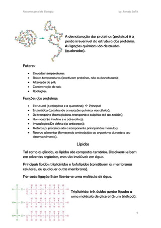 Resumo geral de Biologia by. Renata Sofia
9
A desnaturação das proteínas (proteica) é a
perda irreversível da estrutura das proteínas.
As ligações químicas são destruídas
(quebradas).
Fatores:
 Elevadas temperaturas;
 Baixas temperaturas (inactivam proteínas, não as desnaturam);
 Alteração do pH;
 Concentração de sais;
 Radiações.
Funções das proteínas:
 Estrutural (o colagénio e a queratina);  Principal
 Enzimática (catalisando as reacções químicas nas células);
 De transporte (hemoglobina, transporta o oxigénio até aos tecidos);
 Hormonal (a insulina e a adrenalina);
 Imunológica/De defesa (os anticorpos);
 Motora (as proteínas são a componente principal dos músculos);
 Reserva alimentar (fornecendo aminoácidos ao organismo durante o seu
desenvolvimento).
Lípidos
Tal como os glícidos, os lípidos são compostos ternários. Dissolvem-se bem
em solventes orgânicos, mas são insolúveis em água.
Principais lípidos: triglicéridos e fosfolípidos (constituem as membranas
celulares, ou qualquer outra membrana).
Por cada ligação Ester liberta-se uma molécula de água.
Triglicérido: três ácidos gordos ligados a
uma molécula de glicerol (é um triálcool).
 